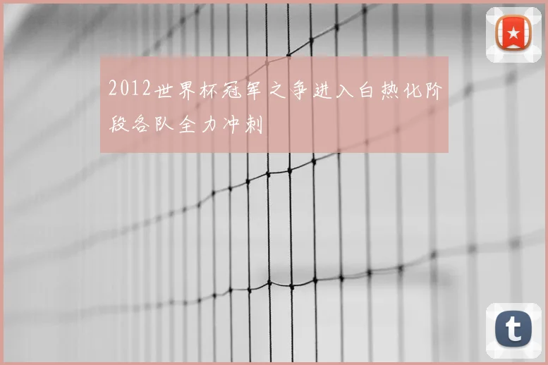 2012世界杯冠军之争进入白热化阶段各队全力冲刺